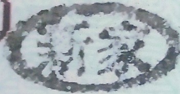 ȱ 沼ְ